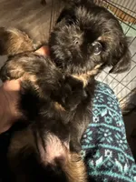 processed/4e98d8f2-9bac-4dfb-b3cf-1e390c030efc/listing/3f49b695-29db-48f7-a53a-1bb6eb749c4b/23b3bab2-4cba-48c0-9bf3-25a00091b709