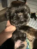 processed/4e98d8f2-9bac-4dfb-b3cf-1e390c030efc/listing/3f49b695-29db-48f7-a53a-1bb6eb749c4b/3b65f80f-20b1-489a-8f65-be7f75efb9da