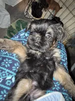 processed/4e98d8f2-9bac-4dfb-b3cf-1e390c030efc/listing/3f49b695-29db-48f7-a53a-1bb6eb749c4b/90c33f24-fcd1-4833-bf60-8a88158cd581