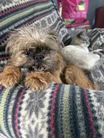 processed/4e98d8f2-9bac-4dfb-b3cf-1e390c030efc/listing/3f49b695-29db-48f7-a53a-1bb6eb749c4b/e6ad41f0-aaa6-4e2a-905a-6e0ca9993c12