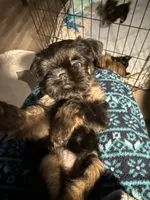 processed/4e98d8f2-9bac-4dfb-b3cf-1e390c030efc/listing/3f49b695-29db-48f7-a53a-1bb6eb749c4b/f78ef81a-7b9d-4479-b774-5890a86337c3