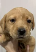 processed/4e9bbe1a-a0c1-43b3-a372-24728c1c5d76/facility/247ffc0a-e175-421a-9e36-de28c30a705e