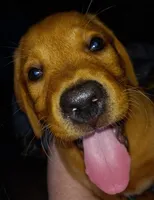 processed/4e9bbe1a-a0c1-43b3-a372-24728c1c5d76/facility/37cce379-be35-4d78-8c2c-0beda6a8457f