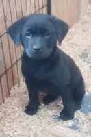 processed/4e9bbe1a-a0c1-43b3-a372-24728c1c5d76/facility/6395a72c-2549-4ef3-ad44-0c5843af313b