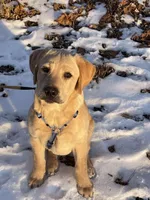 processed/4e9bbe1a-a0c1-43b3-a372-24728c1c5d76/facility/b737c9cd-4dc2-467e-9cd4-b147b822e24a