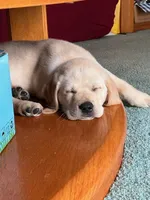 processed/4e9bbe1a-a0c1-43b3-a372-24728c1c5d76/facility/dbce0eac-c17d-49c2-96f6-c5a337b5a08a