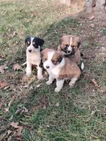 processed/4ea2dd2d-07c6-4bf9-8e51-126f133b4a2c/listing/5262a1ef-48bd-434d-988a-4cb5c310c971/21e3436a-5d89-4f91-be50-6d14741c97c5