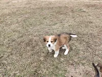 processed/4ea2dd2d-07c6-4bf9-8e51-126f133b4a2c/listing/5262a1ef-48bd-434d-988a-4cb5c310c971/754744d5-d158-4691-8c5a-297619b065cd