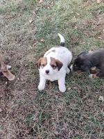 processed/4ea2dd2d-07c6-4bf9-8e51-126f133b4a2c/listing/6ce4495e-d894-43d2-95a1-eb745b9e08bf/d1766e01-8861-46ea-8acb-f586bb78bf2b