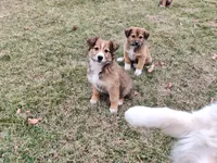 processed/4ea2dd2d-07c6-4bf9-8e51-126f133b4a2c/listing/8ddb7994-e212-4623-866c-e4e7fb553e21/52cbe86d-cda4-40bb-b901-9fe74890db08