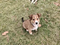 processed/4ea2dd2d-07c6-4bf9-8e51-126f133b4a2c/listing/8ddb7994-e212-4623-866c-e4e7fb553e21/7df04923-6dfe-4420-9a7b-87bf86ea6eb2