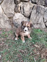 processed/4ea2dd2d-07c6-4bf9-8e51-126f133b4a2c/listing/8ddb7994-e212-4623-866c-e4e7fb553e21/9e944d15-fabd-481c-9313-b2022e2391ee