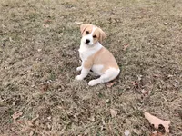 processed/4ea2dd2d-07c6-4bf9-8e51-126f133b4a2c/listing/94db40be-4976-4ba5-9b0b-11812ce31b8a/85fe1dc9-1e66-49ee-9360-8cf56537a780