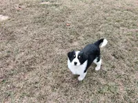 processed/4ea2dd2d-07c6-4bf9-8e51-126f133b4a2c/listing/bbe642a3-f5c6-4a3c-9360-7ad9a1b76517/5f8af1d8-8182-4da9-ae34-790091bbff47