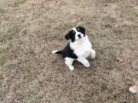 processed/4ea2dd2d-07c6-4bf9-8e51-126f133b4a2c/listing/bbe642a3-f5c6-4a3c-9360-7ad9a1b76517/6cf107aa-13fb-4a52-a085-4dd47d392488