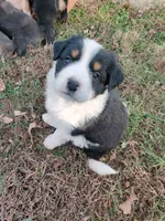 processed/4ea2dd2d-07c6-4bf9-8e51-126f133b4a2c/listing/bbe642a3-f5c6-4a3c-9360-7ad9a1b76517/da75870b-dba5-4bfd-92b3-01988d042692