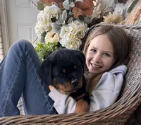 White Collar, a female Rottweiler for sale in Tipp City, OH – Photo 1 of 6