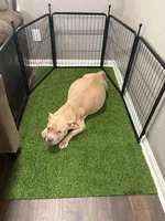 processed/4eaf5c9e-01d8-4957-8a0a-2b1995c8fa20/facility/955b974b-a20c-4620-acca-50ce93e33d10