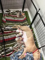 processed/4eaf5c9e-01d8-4957-8a0a-2b1995c8fa20/facility/b24a13b9-332a-42a2-9aad-ab48bd7cd16f