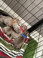 processed/4eaf5c9e-01d8-4957-8a0a-2b1995c8fa20/facility/c8b4be3e-ecbe-4412-8f15-e156aa1c2bd4