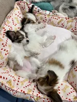 processed/4eb26c3a-fa69-4ef9-b015-4ca04faea3b8/listing/e9596548-982f-4db3-9db3-ac9e1d7ead9a/3cface05-ae7e-477c-886f-02f7b4c11d22