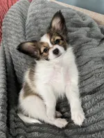 processed/4eb26c3a-fa69-4ef9-b015-4ca04faea3b8/listing/e9596548-982f-4db3-9db3-ac9e1d7ead9a/6c8498ea-f360-47ad-b4dd-18a80a8c7bc2