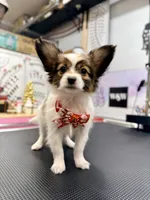 processed/4eb26c3a-fa69-4ef9-b015-4ca04faea3b8/listing/e9596548-982f-4db3-9db3-ac9e1d7ead9a/b5cef9ff-22fb-4e32-add1-8e82c9005a89