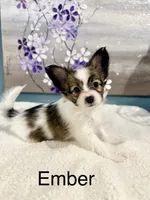 processed/4eb26c3a-fa69-4ef9-b015-4ca04faea3b8/listing/e9596548-982f-4db3-9db3-ac9e1d7ead9a/ecea783b-bf83-4926-a847-864b34202114