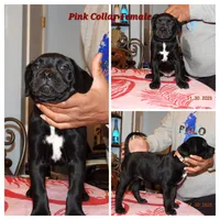 processed/4eb7d35e-8fe9-4ed3-89e8-7bb42bc50ebb/listing/19254d3d-cb41-4d06-8e30-505002b37f4d/3232fd1c-9c90-4c41-873e-583e973b58b7