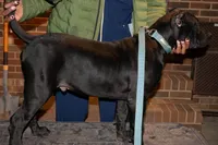 processed/4eb7d35e-8fe9-4ed3-89e8-7bb42bc50ebb/listing/19254d3d-cb41-4d06-8e30-505002b37f4d/719ab397-0db7-4aee-bbbf-2f4b3a1f71bc