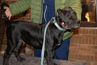 processed/4eb7d35e-8fe9-4ed3-89e8-7bb42bc50ebb/listing/19254d3d-cb41-4d06-8e30-505002b37f4d/8e2d16bf-5cad-49fc-a283-ae55225e391f