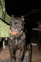 processed/4eb7d35e-8fe9-4ed3-89e8-7bb42bc50ebb/listing/87d5ff49-9d79-4146-8e6a-231814ea63aa/9d623b79-6355-42a8-9ab7-e29621685d6f