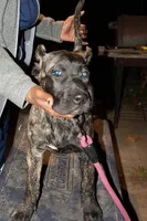 processed/4eb7d35e-8fe9-4ed3-89e8-7bb42bc50ebb/listing/afd2d46d-b8d9-460c-93c8-1b33cf08975d/2b9f25b1-c4d9-47e4-a878-5461d896bde0