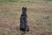 processed/4eb7d35e-8fe9-4ed3-89e8-7bb42bc50ebb/listing/afd2d46d-b8d9-460c-93c8-1b33cf08975d/7d9f615c-b702-4ea5-90f3-c3656f8cc05f