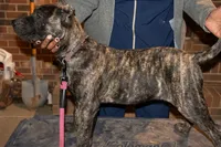 processed/4eb7d35e-8fe9-4ed3-89e8-7bb42bc50ebb/listing/afd2d46d-b8d9-460c-93c8-1b33cf08975d/c20801dd-cddc-40ea-ad1d-853709fea684