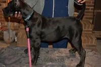 processed/4eb7d35e-8fe9-4ed3-89e8-7bb42bc50ebb/listing/b90bd459-1de0-480f-b0d4-ba0bbe67d6db/0ef121a2-9f68-4136-9a2f-26ccb0a2e26e