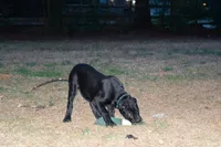 processed/4eb7d35e-8fe9-4ed3-89e8-7bb42bc50ebb/listing/b90bd459-1de0-480f-b0d4-ba0bbe67d6db/33b8708d-1a2e-44c6-814b-3bbaca95477d