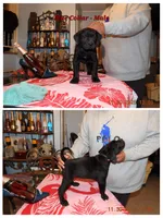 processed/4eb7d35e-8fe9-4ed3-89e8-7bb42bc50ebb/listing/b90bd459-1de0-480f-b0d4-ba0bbe67d6db/401856c8-a447-47d4-a6cc-29fd135168f6