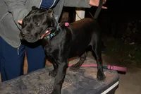 processed/4eb7d35e-8fe9-4ed3-89e8-7bb42bc50ebb/listing/b90bd459-1de0-480f-b0d4-ba0bbe67d6db/41e80df9-bbda-427a-a556-5d318016ab8f