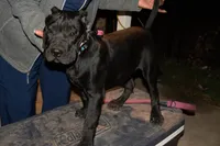 processed/4eb7d35e-8fe9-4ed3-89e8-7bb42bc50ebb/listing/b90bd459-1de0-480f-b0d4-ba0bbe67d6db/4af2e295-5505-4717-ae4c-14807b232ad9