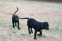 processed/4eb7d35e-8fe9-4ed3-89e8-7bb42bc50ebb/listing/f9f1c3b6-57cf-4958-8b5b-51965d9effc2/2d014ca3-cc8a-41aa-90d9-3f961914751d