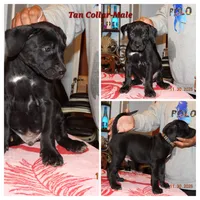 processed/4eb7d35e-8fe9-4ed3-89e8-7bb42bc50ebb/listing/f9f1c3b6-57cf-4958-8b5b-51965d9effc2/5aaa37a3-4dfb-475e-97bb-845cc5d5ecd5