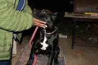 processed/4eb7d35e-8fe9-4ed3-89e8-7bb42bc50ebb/listing/f9f1c3b6-57cf-4958-8b5b-51965d9effc2/6ecb59b9-29f6-4cbb-becb-664dbdd2b68c