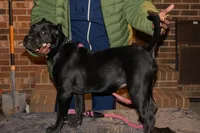 processed/4eb7d35e-8fe9-4ed3-89e8-7bb42bc50ebb/listing/f9f1c3b6-57cf-4958-8b5b-51965d9effc2/a570c3b9-9725-40f4-8d0f-c6c4de7ea9b0