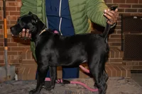 processed/4eb7d35e-8fe9-4ed3-89e8-7bb42bc50ebb/listing/f9f1c3b6-57cf-4958-8b5b-51965d9effc2/cb8c6c27-373a-44c5-a798-ee1982c53137