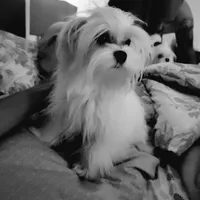 processed/4ec81be2-c114-4a4c-bf64-90c4a1292a50/facility/4f923174-3d53-4a40-9e5d-80b146cf8287