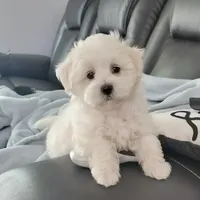 processed/4ec81be2-c114-4a4c-bf64-90c4a1292a50/facility/617dcf5e-79b8-40ea-842d-81ed95418b67