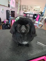 processed/4ec81be2-c114-4a4c-bf64-90c4a1292a50/facility/6ab367bb-17ba-4766-a272-e2dc1f2e342e