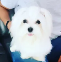 processed/4ec81be2-c114-4a4c-bf64-90c4a1292a50/facility/70b09889-7a8d-42e0-acf9-5214dee368aa