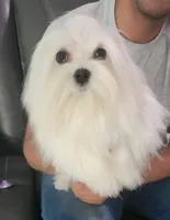 processed/4ec81be2-c114-4a4c-bf64-90c4a1292a50/facility/87b3d7a7-70eb-4e40-a05d-0e589b0c9770